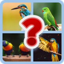 "Mind Magic: Uplifting Trivia Quiz Game" Image