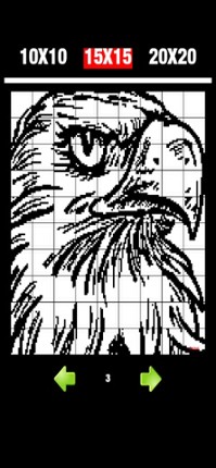 Nonogram 9 Image