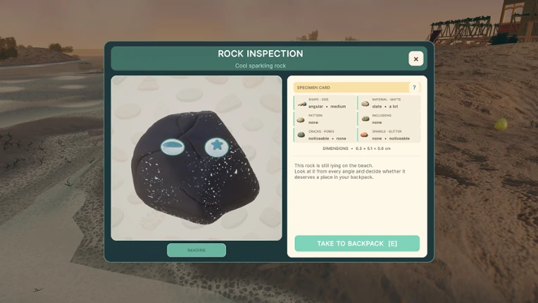 Pet Rock Workshop Image