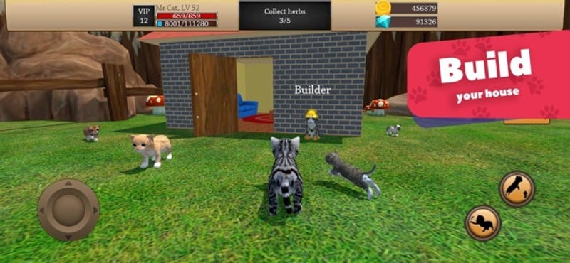 Cat Simulator 3D - Animal Life screenshot