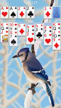 Solitaire Image