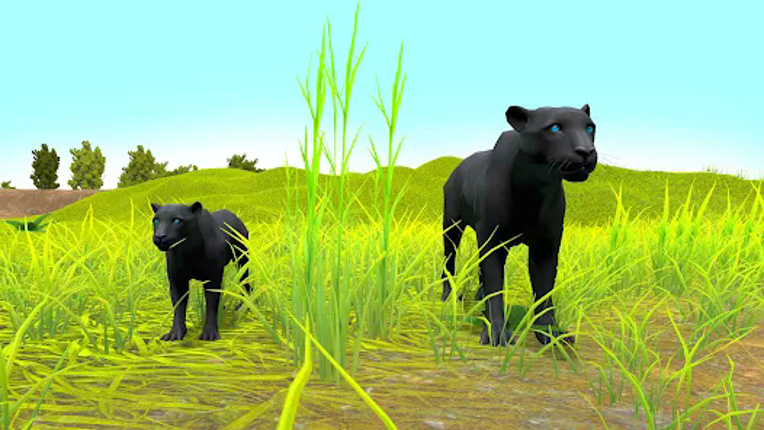 Black Panther Simulator Games Image