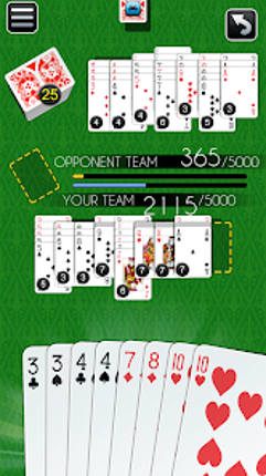 Canasta Multiplayer Card Game screenshot