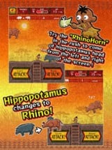 Hippopotamus &amp; Rhino Image