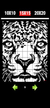 Nonogram 9 Image