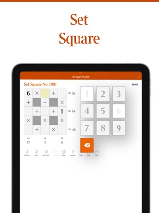 Times Puzzles Image