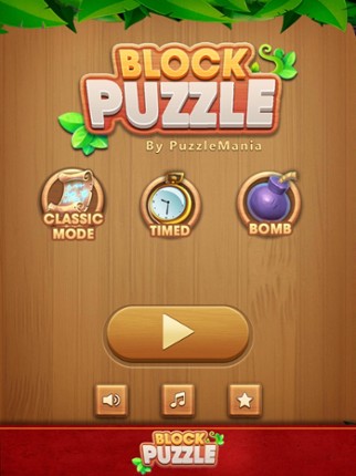 Block Puzzle Wood Classic 2024 screenshot