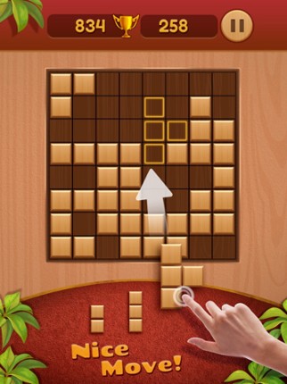 Block Puzzle:Wooden Puzzle Image
