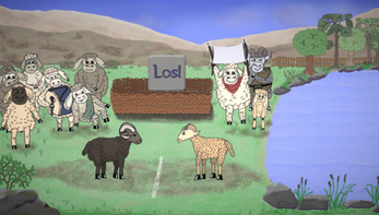 Highland Sheep Games Image