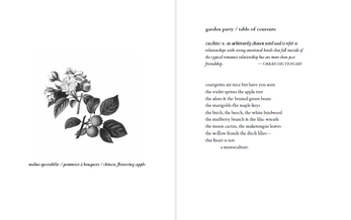 hortus animarum: a new herbal for the queer heart Image