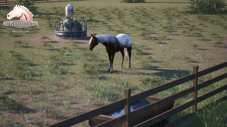 Unbridled: Horse Designer screenshot
