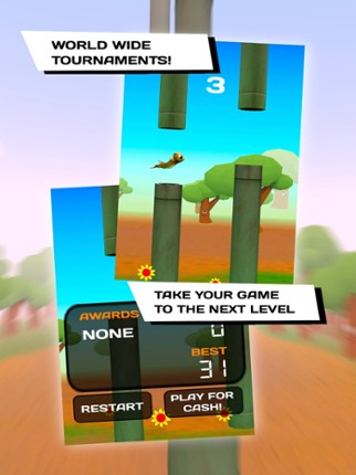What The Flap! - Tournament screenshot