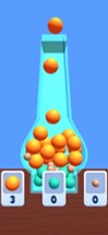 Ball Fit Puzzle Image