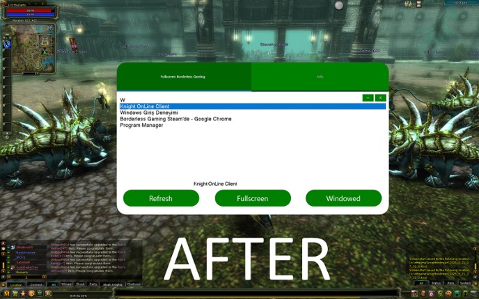 Fullscreen Borderless Gaming screenshot
