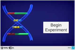 DNA Image