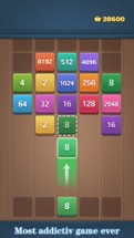 Shoot Merge 2048-Block Puzzle Image