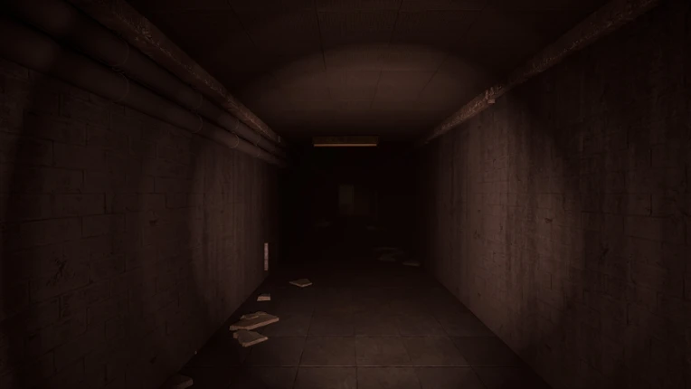 The Maze: In Dark Image
