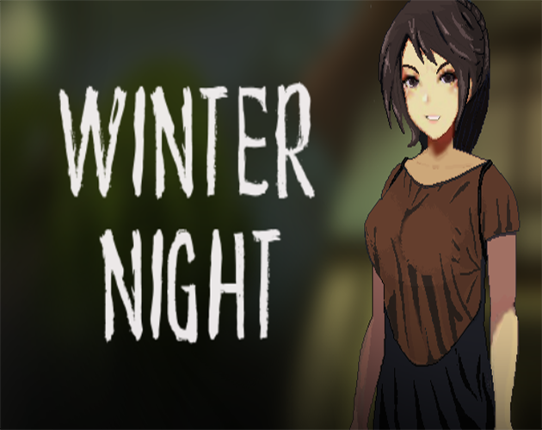 Winter Night Image