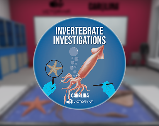 VR Squid and Seastar Dissection: Invertebrate Investigations Image