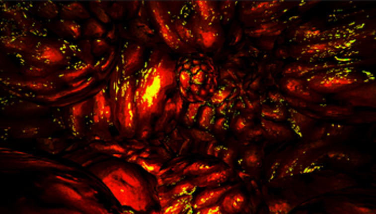 IN THE FLESH screenshot