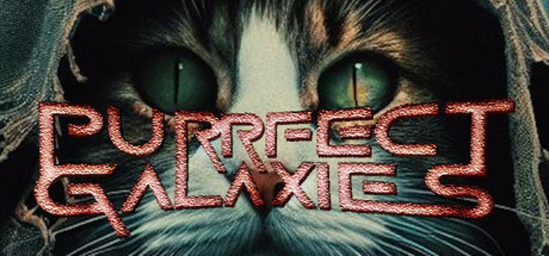 Purrfect Galaxies Game Cover