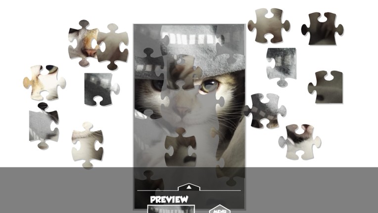 Puzzlection screenshot
