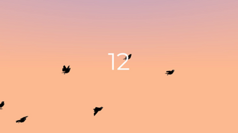Bird Society screenshot