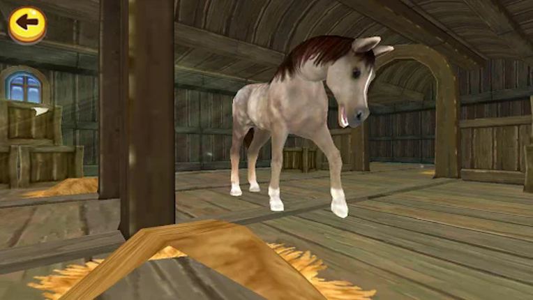Horse Quest Image