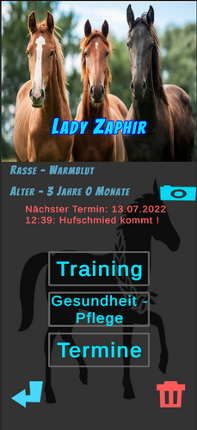 Mein Pferde Manager : My Horse Manager Image
