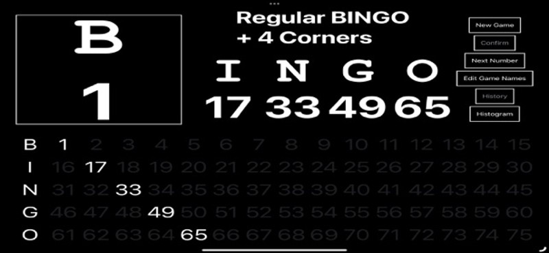 Bingo Number Creator screenshot