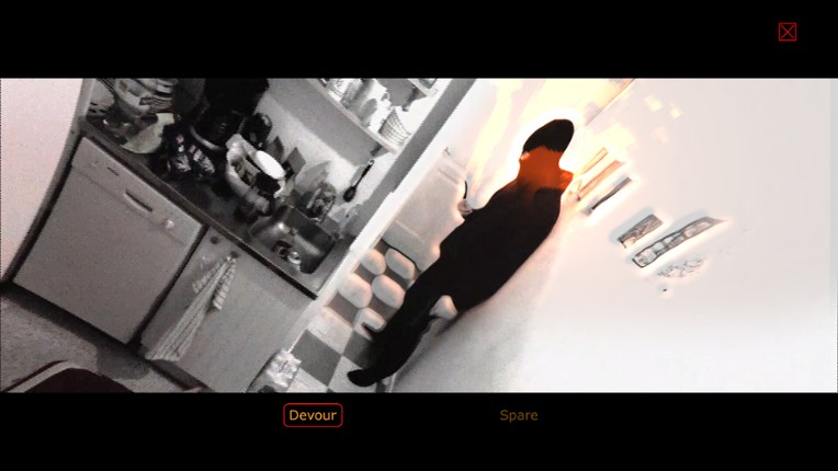 FMV - Full Motion Voyeur screenshot