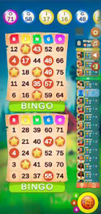 Bingo: Love in Montana screenshot