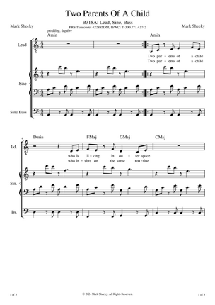 Sheet Music & Lyrics: The Dusty Mirror screenshot