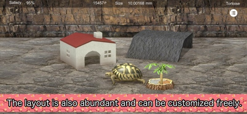 Tortoise to grow relaxedly Image