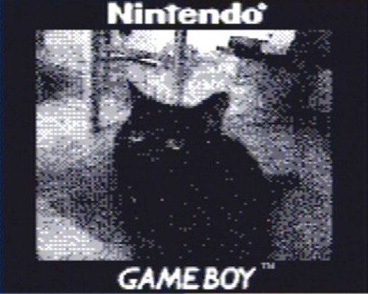 Game Boy Camera Image