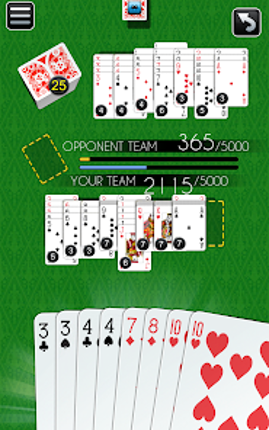 Canasta Multiplayer Card Game screenshot