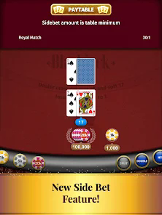 Blackjack Card Game screenshot