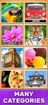 Jigsaw Puzzle Blocks screenshot