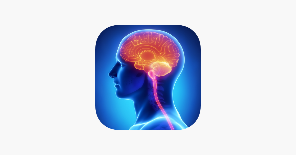 Games like Learn Brain Anatomy