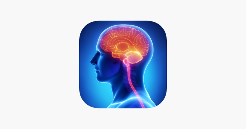 Learn Brain Anatomy Game Cover