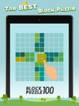 Block Puzzle 100 Image