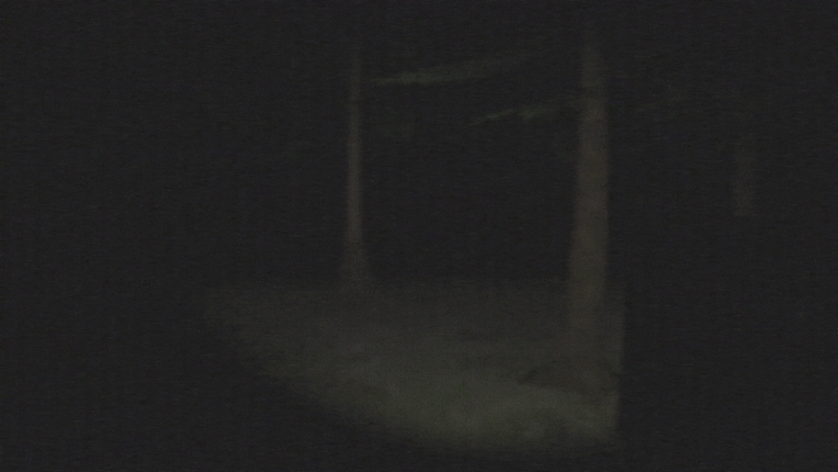Dead Trip Image