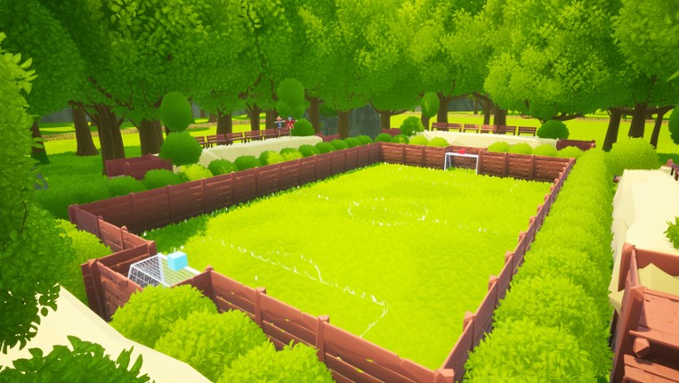 FOOTBALLER screenshot