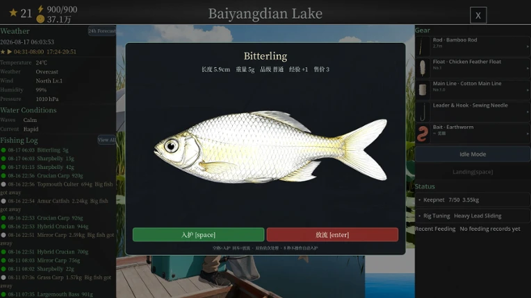 Panda Fishing: The Way of Angling Image