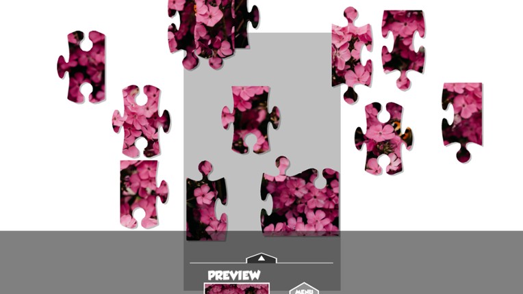 Puzzlection screenshot