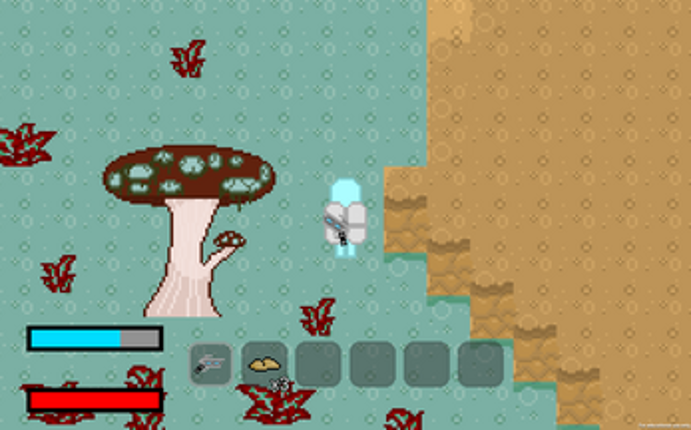 The Beauty Planet Image