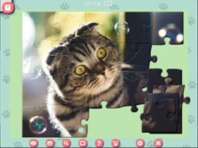 1001 Jigsaw. Cute Cats Image