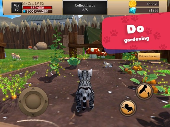 Cat Simulator 3D - Animal Life screenshot