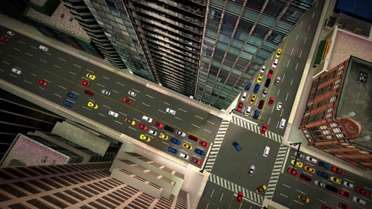 City Car Driving - Traffic screenshot