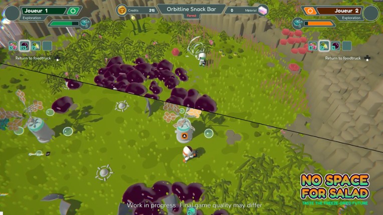 No Space For Salad screenshot